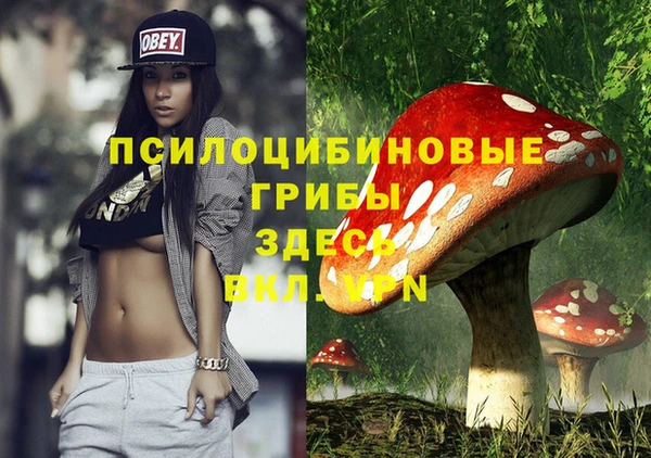 дживик Армянск